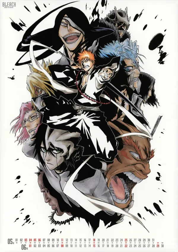Bleach